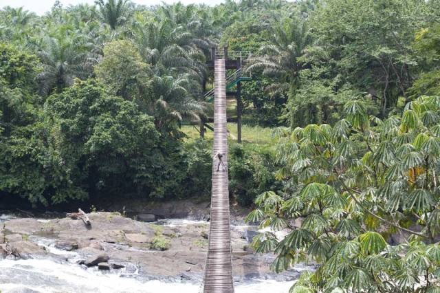 Swiss Cameraman @ Korup Bridge